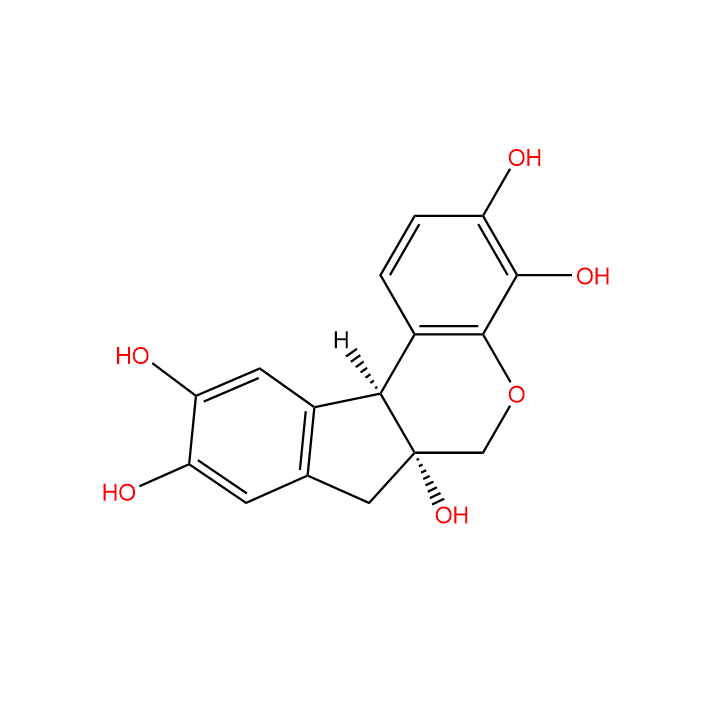 Hematoxylin Hematoxylin